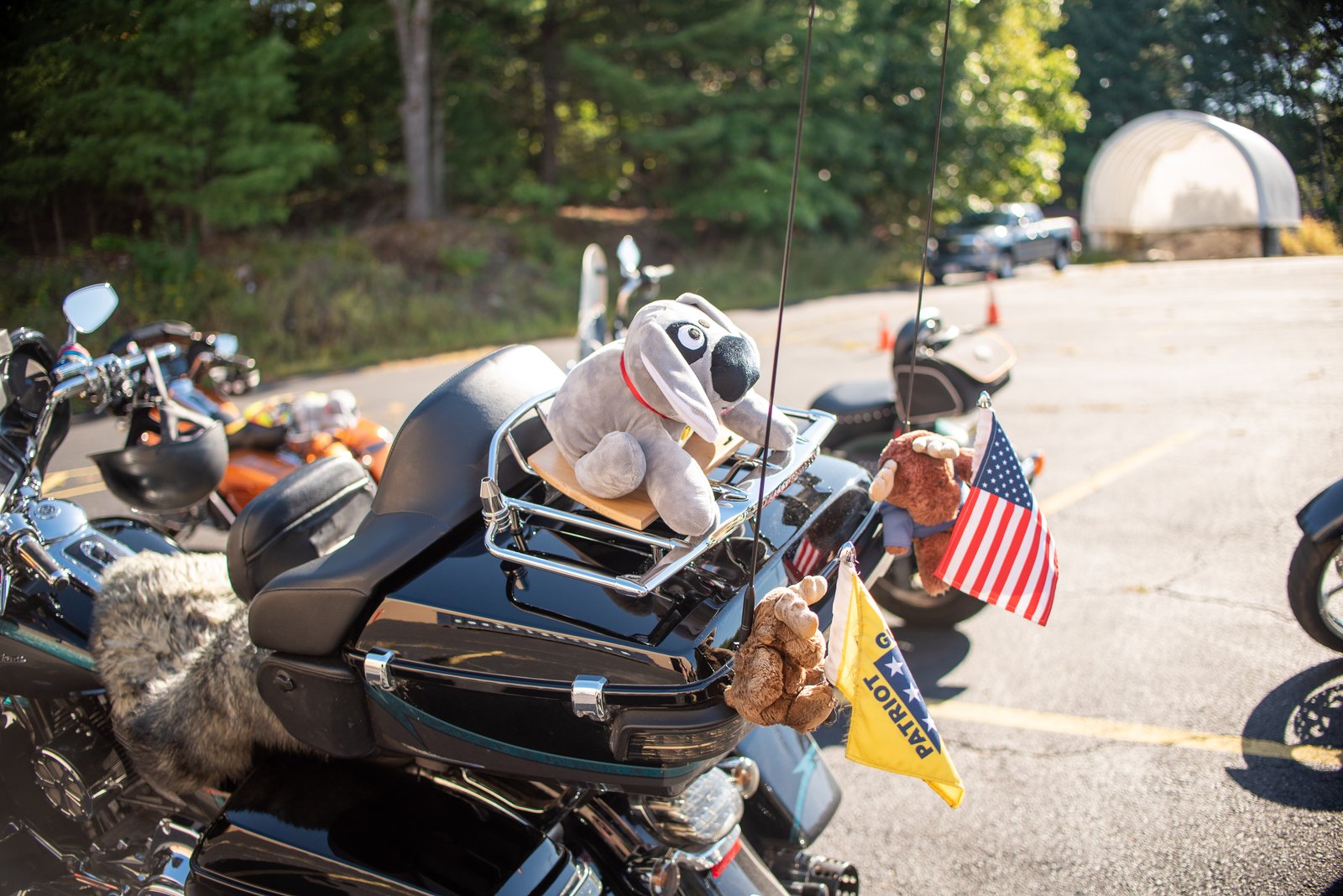 Trouble the Dog is ready to ride at the Shriners' Auditorium