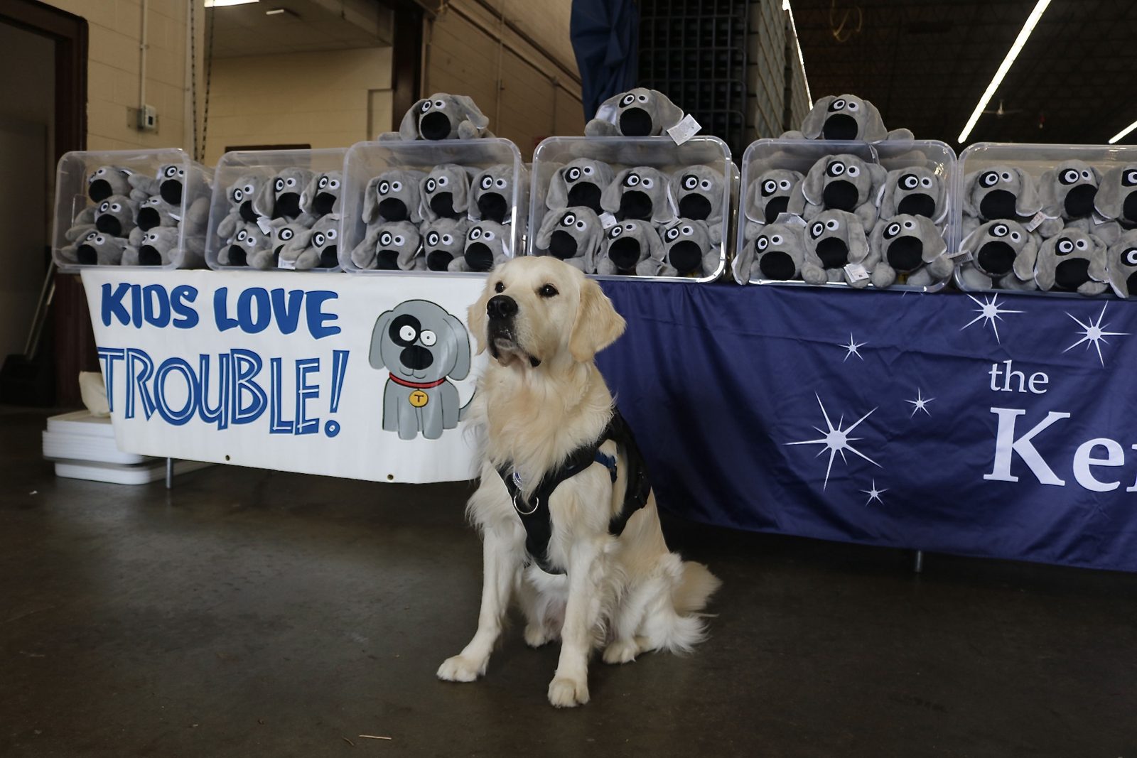 A therapy dog beside a table stacked with Trouble the Dog plush toys and a "Kids Love Trouble" sign